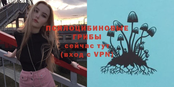 ПСИЛОЦИБИНОВЫЕ ГРИБЫ Балабаново